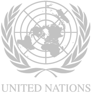 UN logo darker